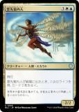 ޥå㥶 BLC JP 0249  (ܸ 󥳥) ֥롼Х Ψ (MTG)