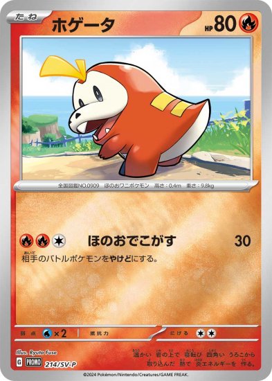 ポケモンカードゲーム 214/SV-P ホゲータ 炎 (PR プロモ) ポケカの夏がキタ! プロモカードGetキャンペーン! - REALiZE  トレカ&ホビー