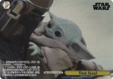  SW/SE47-21FOP Their Bond (FOP եѥ) ץߥ֡ STAR WARS Vol.2