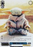  SW/SE47-26FOP ۡɥ (FOP եѥ) ץߥ֡ STAR WARS Vol.2