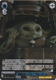  SW/SE47-43FOP ĤϤФäꡪɥ (FOP եѥ) ץߥ֡ STAR WARS Vol.2