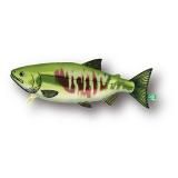 【オニイトマキエイ】カプリウムコレクション海洋生物 オニイトマキエイ】カプリウムコレクション海洋生物 - トレカ