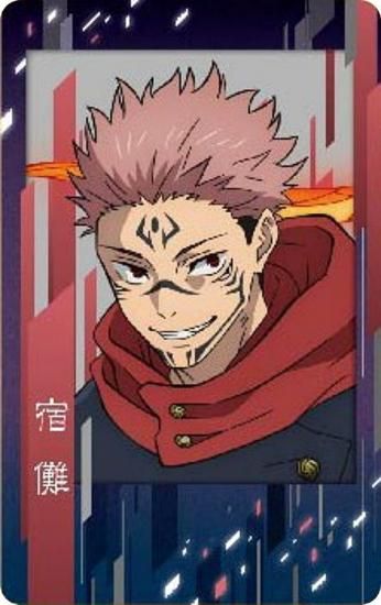 呪術廻戦 ステータスカード 両面宿儺×25 呪術廻戦 ステータスカード 両面宿儺×25 カードリスト｜ユニオン