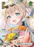 ڥѥۥۥ饤֥ե륫ɥ hBP01-051  (UR ȥ쥢) ֡ѥå ֥롼ߥ󥰥ǥ (ۥ饤OCG)