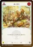 ڥ쥤ܡFOILۥեå֥å JP ROS JP 056 β̼ (ܸ C ) å Rosetta