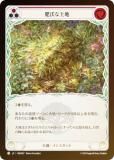 ڥ쥤ܡFOILۥեå֥å JP ROS JP 067  (ܸ C ) å Rosetta