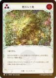 ڥ쥤ܡFOILۥեå֥å JP ROS JP 068  (ܸ C ) å Rosetta