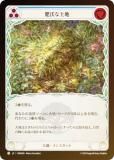 ڥ쥤ܡFOILۥեå֥å JP ROS JP 069  (ܸ C ) å Rosetta