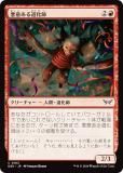 ޥå㥶 DSK JP 0163 դƻ (ܸ ) ⡼ˤδ (MTG)