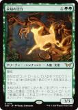 ޥå㥶 DSK JP 0176 ʹγ (ܸ 쥢) ⡼ˤδ (MTG)