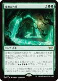 ޥå㥶 DSK JP 0188 Ѱۤ (ܸ 쥢) ⡼ˤδ (MTG)