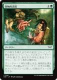 ޥå㥶 DSK JP 0191 ʪŪи (ܸ ) ⡼ˤδ (MTG)