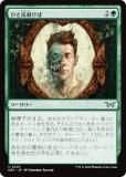 ޥå㥶 DSK JP 0203 Ҥ (ܸ 󥳥) ⡼ˤδ (MTG)