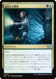 ޥå㥶 DSK JP 0216 Ĺ (ܸ 󥳥) ⡼ˤδ (MTG)