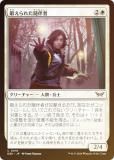 FOILۥޥå㥶 DSK JP 0016 ä줿ȼ (ܸ ) ⡼ˤδ (MTG)