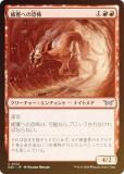 FOILۥޥå㥶 DSK JP 0134 ͤؤζ (ܸ 󥳥) ⡼ˤδ (MTG)