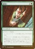 FOILۥޥå㥶 DSK JP 0170 ˤ (ܸ 󥳥) ⡼ˤδ (MTG)