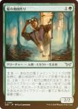 FOILۥޥå㥶 DSK JP 0185 ۤϿ޺ (ܸ 󥳥) ⡼ˤδ (MTG)