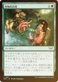 マジック：ザ・ギャザリング kamoyan Amazon.co.jp: マジックザギャザリング MTG 金（多色） 日本語版 戦争