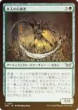 FOILۥޥå㥶 DSK JP 0207 ڿͤ˼ (ܸ 󥳥) ⡼ˤδ (MTG)