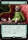 ڳĥǡۥޥå㥶 DSK JP 0384 ҤĤͷ (ܸ 쥢) ⡼ˤδ (MTG)