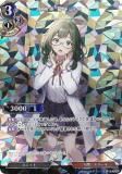 ڥѥۥӥǥХTCG C-B15-49SR  Υ (SR ѡ쥢) ֡ѥå裱 ᡢθư
