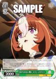  UMA/W119-038S 餱ʤ襤 ᥤ祦ɥȥ (SR ѡ쥢) ֡ѥå  ̼ ץƥӡ 