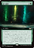 ڳĥǡۥޥå㥶 DSC JP 0060 ¤ (ܸ 쥢) ⡼ˤδ Ψ (MTG)