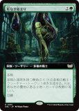 ڳĥǡۥޥå㥶 DSC JP 0061 ʤϤޤ (ܸ 쥢) ⡼ˤδ Ψ (MTG)