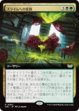 ڳĥǡۥޥå㥶 DSC JP 0064 饤ؤѴ (ܸ 쥢) ⡼ˤδ Ψ (MTG)