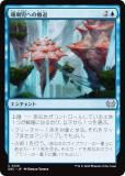 ޥå㥶 DSC JP 0126 ؤű (ܸ 󥳥) ⡼ˤδ Ψ (MTG)