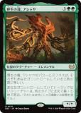 ޥå㥶 DSC JP 0170 κ (ܸ å쥢) ⡼ˤδ Ψ (MTG)