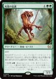 ޥå㥶 DSC JP 0176 ̸Զ (ܸ å쥢) ⡼ˤδ Ψ (MTG)