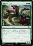 ޥå㥶 DSC JP 0185 Υϥɥ (ܸ å쥢) ⡼ˤδ Ψ (MTG)