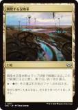 ޥå㥶 DSC JP 0317 δ뼾 (ܸ ) ⡼ˤδ Ψ (MTG)