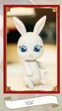 ice CAPSULE DOLL Vol.3 bunny