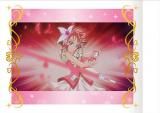 本日まで専用　プリキュア ドリーム　30点 本日まで専用 プリキュア ドリーム 30点 Amazon.co.jp