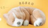 ڤޤޤBۤդե