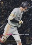 ڥڥѥۥɥ꡼४ PBP04-H05 絮 ʡեȥХ󥯥ۡ (SSP ѡڥ) ѡ꡼ ֡ѥå 2024 Vol.4