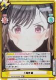 ڥѥReС IMS/001B-022S  (RRR ȥץ쥢) ֡ѥå ˥ ɥޥ 㥤ˡ顼