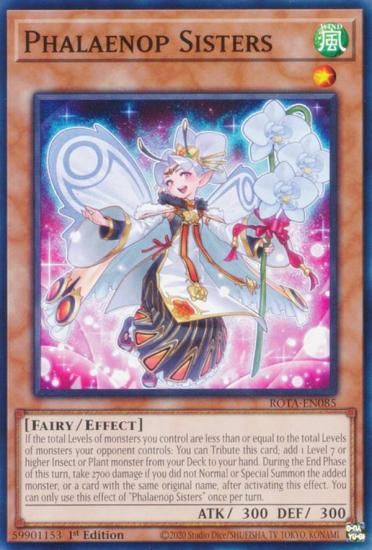 遊戯王 ROTA-EN085 Phalaenop Sisters (英語版 1st Edition
