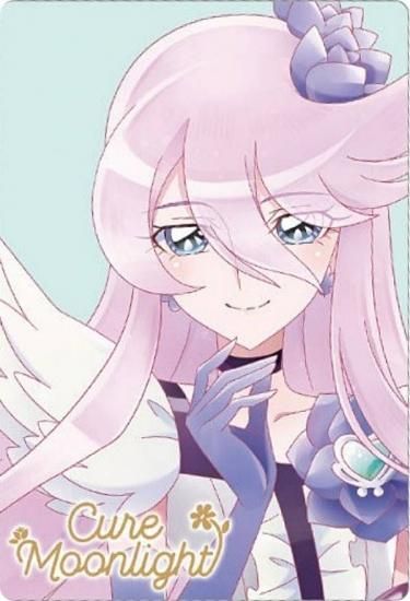 10弾　HRキュアムーンライト9枚　未開封　プリキュア　ウエハース　カード プリキュアウエハース10 キュアムーンライトHR キュアハートHR