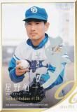 中日ドラゴンズ 当時物 ウインドブレーカー デサント社製 星野竜 BBM ベースボールカード 143 星野仙一 中日ドラゴンズ