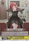  Fsp/W120-027S ԰̼դΥ졼 (SR ѡ쥢) ֡ѥå ٻθե󥿥ʸ Vol.2
