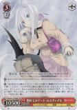  Fdd/W120-086S ƤΥǡ  (SR ѡ쥢) ֡ѥå ٻθե󥿥ʸ Vol.2