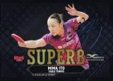 󥵥 044/120BBM ݡĥȥ졼ǥ󥰥 SU10 ƣ  (󥵡ȥ/SUPERB) 2024 INFINITY