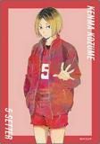 ڸ޸Bۥϥ塼!! ȥ졼ǥ Ani-Art 5 ֥ޥ