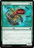 ޥå㥶 FDN JP 0114 ¤ (ܸ ) եǡ (MTG)