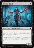 ޥå㥶 FDN JP 0178 άå˲ (ܸ ) եǡ (MTG)