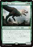 ޥå㥶 FDN JP 0222 ε륿 (ܸ 쥢) եǡ (MTG)